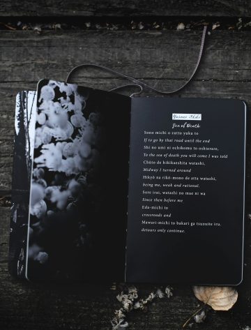 Translating Poetry Celebrate World Poetry Day Through Language and Art