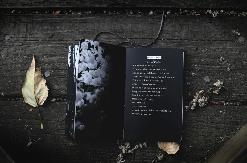 Translating Poetry Celebrate World Poetry Day Through Language and Art